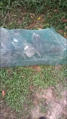 thằng em hôm nay dc vậy ae được gì không 