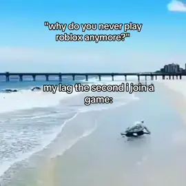 but when i play da hood i get shot the second i join #funny #relatable #turtleflying #roblox #lag #fyp #viral #makethisvideogoviral 