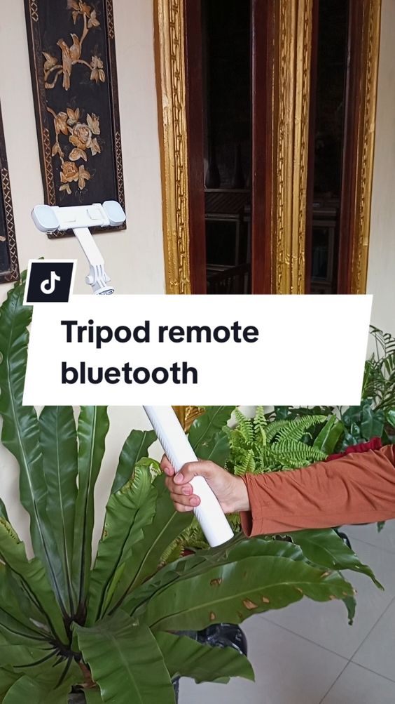 Tripod remote bluetooth multifungsi.  #tongsis #tripod #tripodadalampunya #tongsisbluetooth 