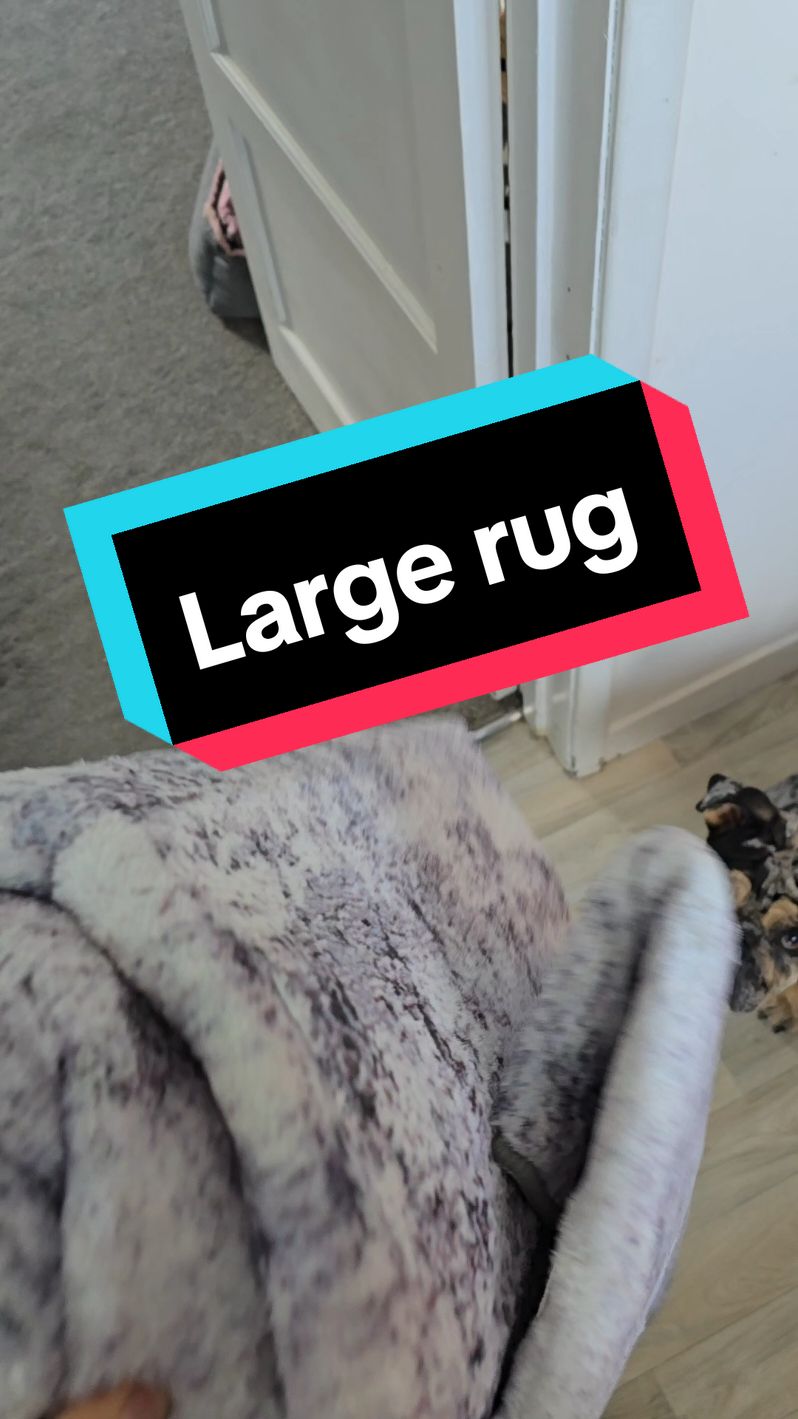Large rug great price on tiktokshop 🌟🎉 #rug #homeandliving #homedecor #cosyhome #blackfriday #blackfridaysale #spotlight #spotlightfinds #tiktokmademebuyit 