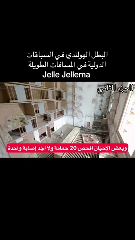 لوفت النخبة #زاجل #زاجل_سباق #حمام_زاجل #لوفت_النخبة #زاجل_بلجيكي #الزاجل #حيوانات_اليفه #حيوانات #زاجل_سباق❤ #الطيور #طيور #زواجل 