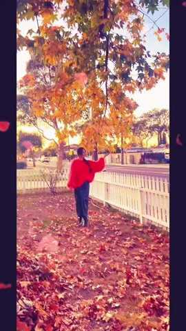 Mua thu  😀🥰🍂di qua 