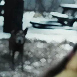 THE PLOT TWIST ! #Movie #filmclips #plottwist #movies #recommendations #fyp #fypedit #edit #foryou #foru #fractured #fracturedmovie 