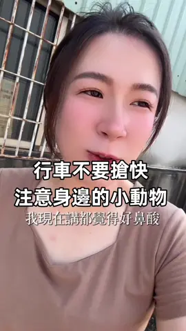 #浪浪  這則影片是想告訴大家 行車的時候慢一點，不要搶快 路邊會很多貓貓狗狗出現 小小生命就這樣沒了 幫助祂們其實不是要求回報，是希望祂們可以走得安詳 . 這是豬隊友第二次遇到路邊浪浪的屍體 她跟我分享第一次她也不敢碰 第二次就放寬心了 這次是她的第二次她說很平常心 希望這則影片可以幫助到祂們 . 如果遇到路邊浪浪不幸被車撞 麻煩幫忙安置至路邊並通報「1999」告知正確位置 會有政府人員前來協助 如果有能力可以在相關單位到達之前幫忙用報紙將其包住（吸血水）接著用塑膠袋包裹（隔絕氣味及蚊蟲）最後再裝入箱內方便運輸 以上資訊由網路「毛孩彩虹天堂提供」 . #浪浪安置 #車禍 #死亡 #貓咪 #狗狗 
