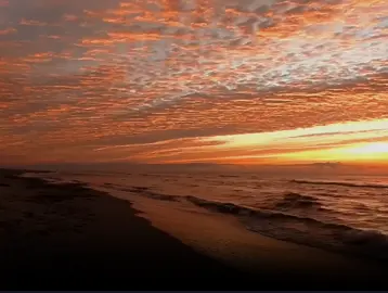 Think They Call This Love - Matthew Ifield (cover) #fyp #foryou #tiktok #xyzbca #lyrics #lyricsvideo #mmsub #mmsublyrics #thinktheycallthislove #matthewlfield #swanhtetag20 