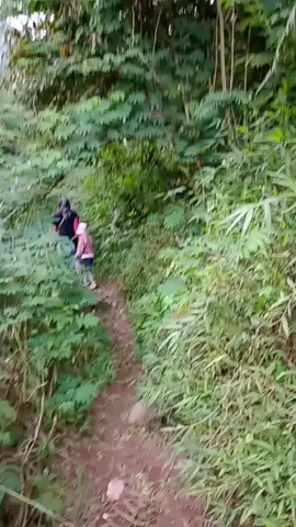 explore gunung Puntang.. #alam #gunung #gunungpuntang #gunungindonesia #wisataindonesia #wisatabandung #wisataalam #wisata #explore #expresikanharimu #viral #fyp #fyppppppppppppppppppppppp #fypシ゚ 