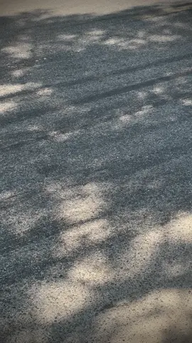 Nay ae đi ba vì về cho xin cảm nhận đi🥲#xuhuongtiktok2024 #bavi 