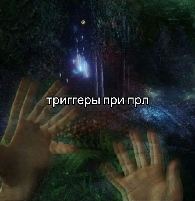 #прл #ПРЛ #пограничноерасстройстволичности #пограничники #fyp 