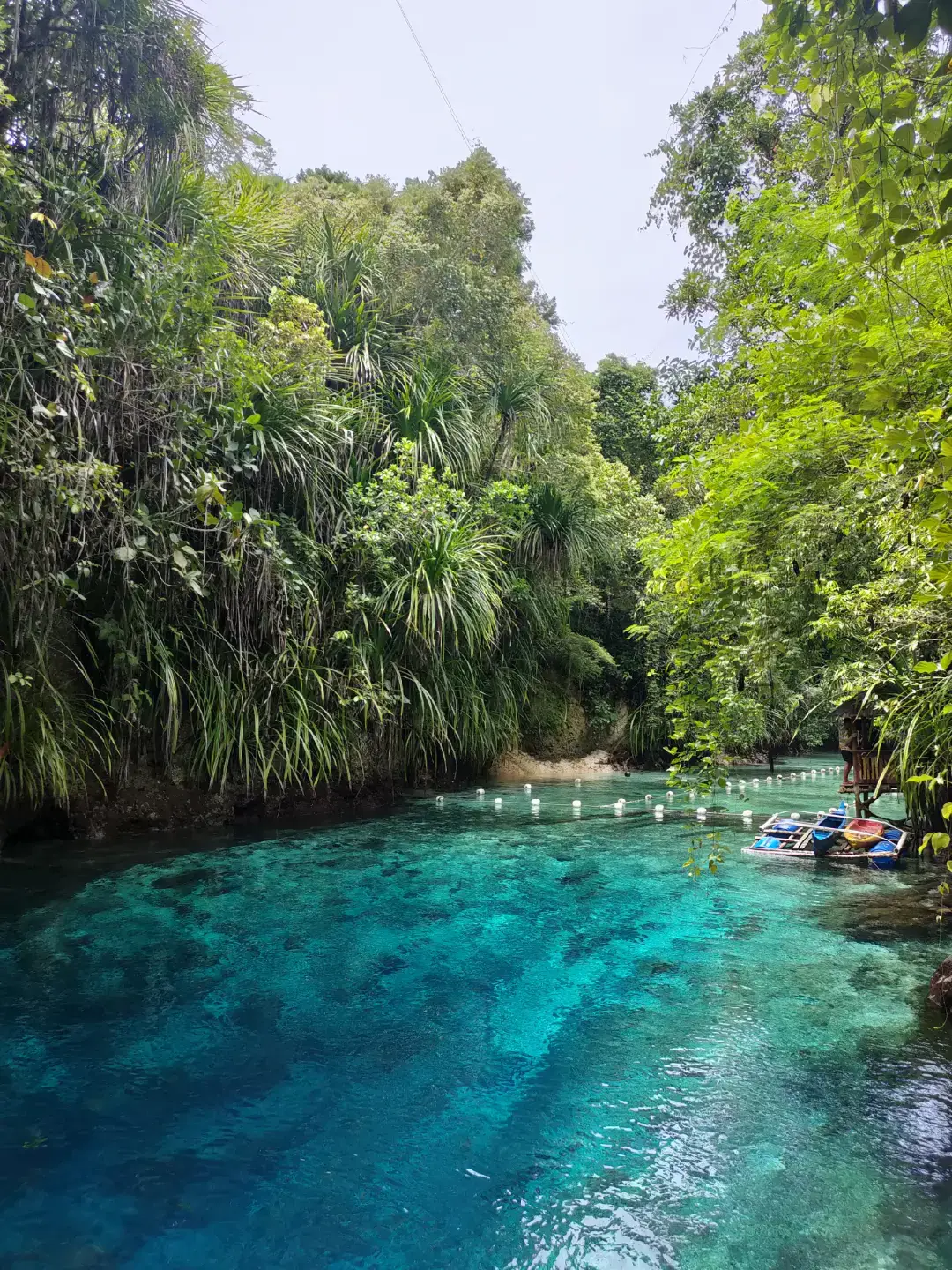 The enchanting beauty of Hinatuan's Enchanted River🩵✨ #fyp #enchantedriver #philippines #tiktoktravel 