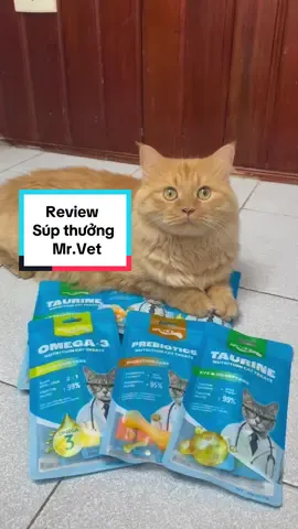 Súp thưởng dinh dưỡng NGON - BỔ - RẺ cho hoàng thượng 🐱 #mrvet #petour #embetom 