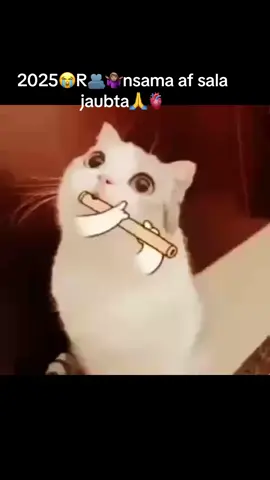 😭😭😭😭😭