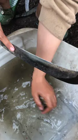 #ticks #TikTokAwardsVN #tiktok #omg #ticksremoval #camping #LearnOnTikTok 