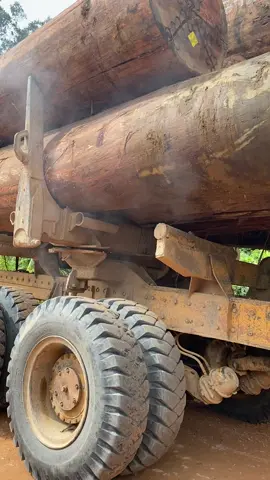 Lalu menyala pula🔥🔥🔥#fypシ゚viral #kenworthtrucks #drivermuda #jalurhollingkalimantan #porostengah 