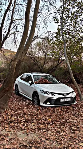 01 Iraq 2024 🍂🍂 #lemeted🔥 #camry2024 #الأفضل #yaban #tiktok #foryou #car #yaban #tiktok #foryou 