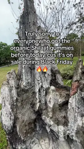 Great deal!!#tiktokblackfriday #TikTokShop #tiktokshopcybermonday #tiktokshopblackfriday 
