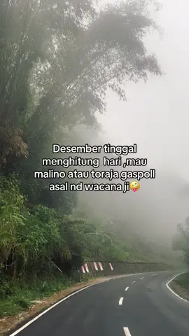 bemanaji? #malino #toraja 