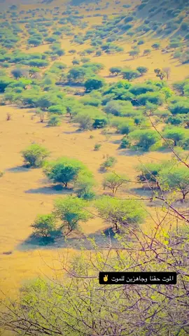 #الجاهزيه_في_قلوبنا_🇸🇩 #ترابين_ولـنا_فـي_قـمة_الـمجد_رايـات 