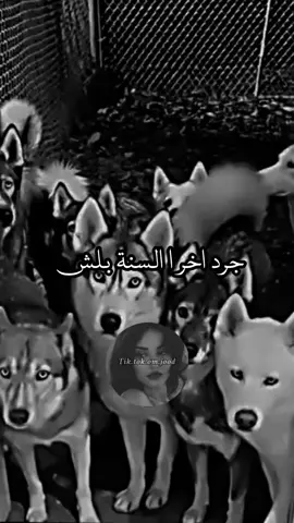 #خربشات_black_🧸🖤 #خربشات #fyp #fypシ #foryou #explore #الشعب_الصيني_ماله_حل😂😂 #الشعب_الصيني_ماله_حل😂😂 