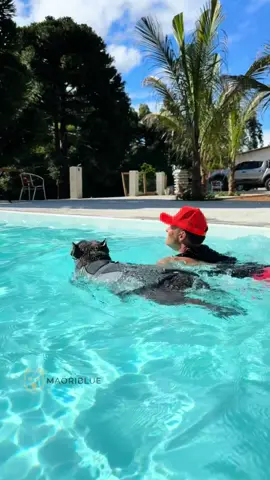 Dia de Piscina 🐾💙