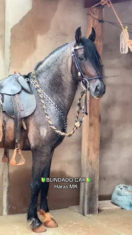 Não sufoquem o artista 😮‍💨😮‍💨😮‍💨.     🔰BLINDADO CAR🔰 @harasmak Instagram #foryou #foryoupage #mangalargamarchador #viral #fypシ #piseiro