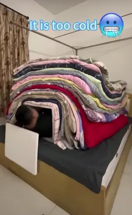#funny #funnyvideos #funnyreels 