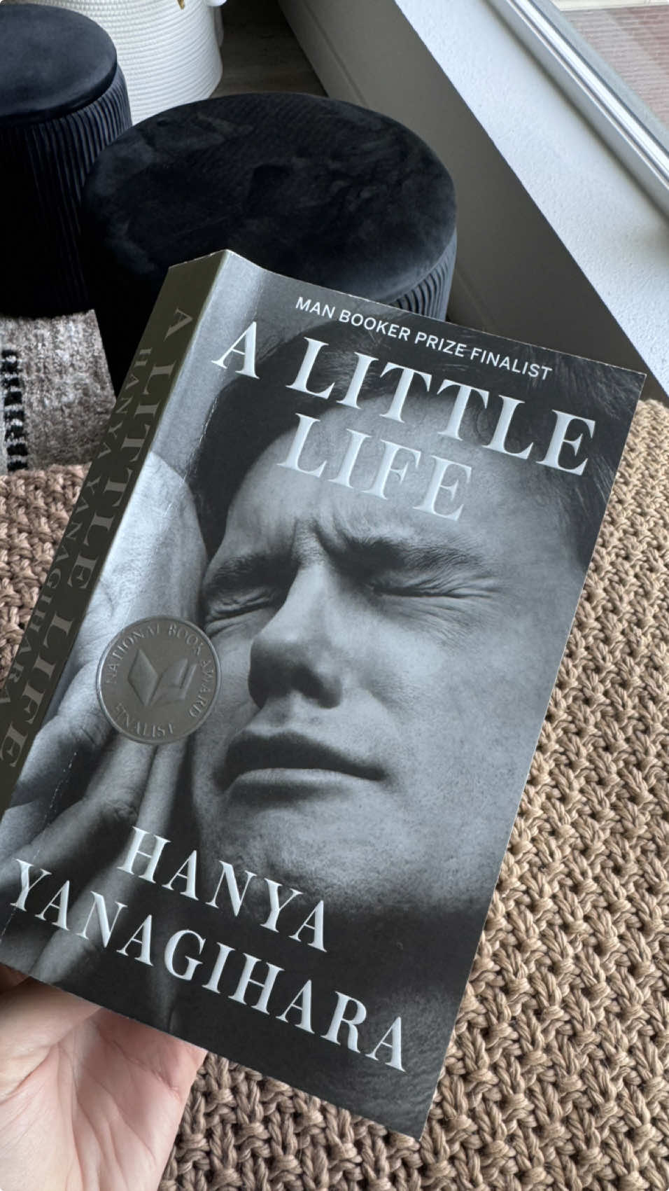 A little life… 📚#BookTok #fyp #librostiktok #reading 