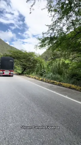 El panita @el.flaconea #stevencarreñofigueroa #transporte #kenworth #depescaderoparaelmundo #santander #viral #tendencia #colombia #autodromo #cañondelchicamocha⛰️ #almejorestilocamionero #viral_video #w900 