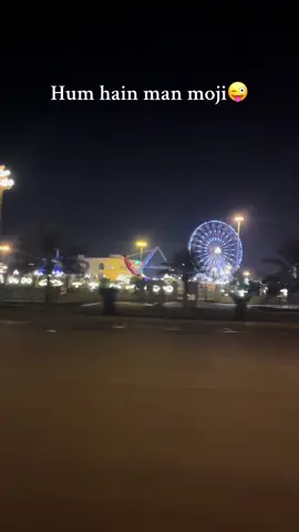 #themepark #foryou #foryoupage #fypシ゚viral #tiktokviral 