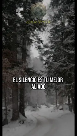 El silencio es tu mejor aliado A veces, los grandes logros nacen en la calma y en el silencio. En este video, hablamos de la importancia de trabajar en tus metas en silencio, sin distracciones externas. Aprende cómo el esfuerzo silencioso puede sorprender a todos y dejar huella. #logros #logrosdevida #logrosymetas #Logros #Personales #Transformarte #transformarvidas #transformar #meritos #metas #metas2024