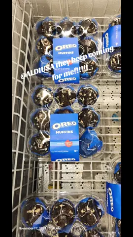 Oregon muffins in the freezer section at @ALDI USA your welcome!!!! #fyp #oreos #aldifinds #desserts #unbigmyback #fall 