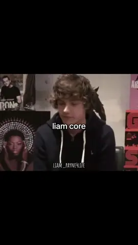 Liam Core🕊️😭 @Liam Payne #LiamPayne #1D #OneDirection #core 
