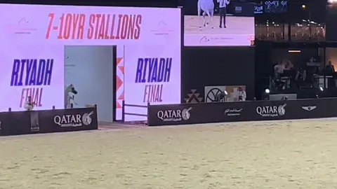 دخول البطل الكسندر و صوت جمهوره و محبينه 😻😻♥️ #الكسندر #جولة_الجياد_العربية_2024 #ماشاءالله_تبارك_الله_اذكروا_الله #خيل_وخياله🐎🖤ماشاءالله_اللهم_بارك🧿♥️ #explore 