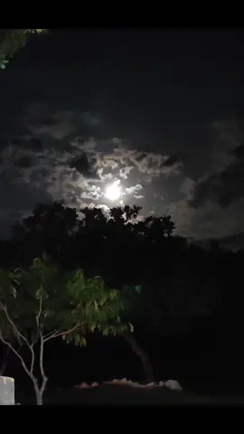 Noite de lua cheia aqui na chácara 🌕🤍... #lua #chacara #fy #fyp #vaiprofycaramba #moon #moonlight #vaipraforyou #foryoupage #luacheia #brasilia 