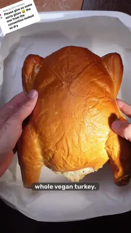 #stitch with @Vegan Hacks Pod #comedy