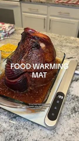Its currently 44% off + free shipping!!! Stack additional 20% off coupon while it lasts! 😍🙌🏻✨ #foodwarmingmat #foodwarmer #feppo #tiktokshopblackfriday #tiktokshopcybermonday #tiktokshop #spotlightfinds #giftsforher #christmasgift 