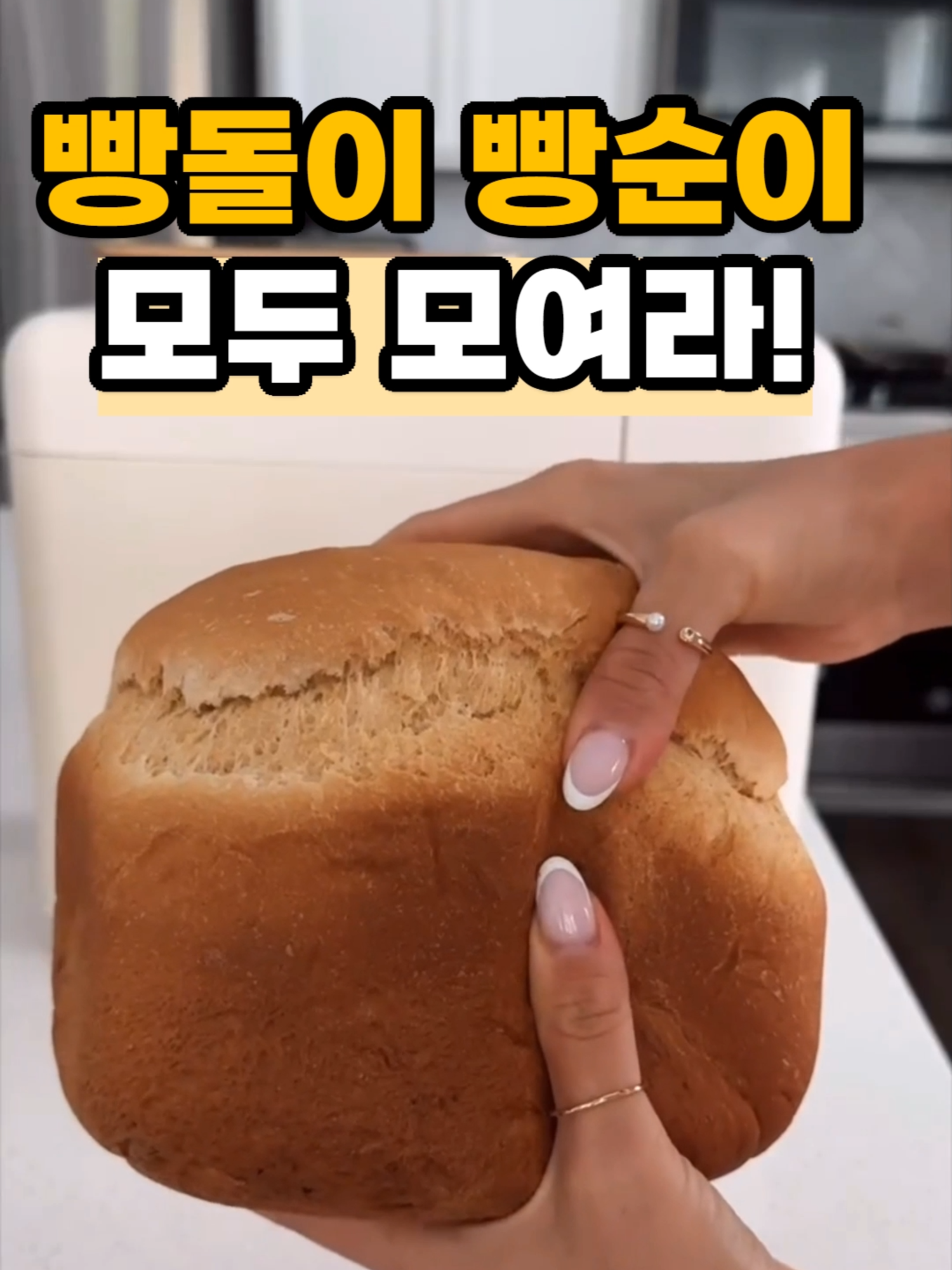 [No.180~181 가정용 제빵기 세트] 프로필 링크에서 확인 가능합니다. 아침마다 따뜻한 빵 먹으면 얼마나 좋을까요? 컴펙트한 가정용 네테르바 제빵기와 빵 슬라이서를 소개드려요. 영상에 설명했듯 15개의 빵 레시피가 프로그래밍 되어 있어서  빵,통밀,글루텐프리,케이크,홈메이드 등 여러 형태로 빵을 만들 수 있어요. 또한 굽기도 바삭함 부드러움 등 조절 할 수 있답니다.  컴팩트한 사이즈 및 무소음으로 집에 두기 정말 좋고  따뜻하고 신선한 빵을 바로 즐길 수 있다는 것이 너무 큰 장점이에요. 또한 빵 슬라이서는 가로 38cm로 빵을 3가지 두께로 자를 수 있고 가볍고 보관하기도 좋습니다. #소품 #인테리어 #제빵기 #요리 #살림 #주부 #주방 #빵만들기 #브래드