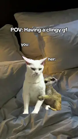 #couple #funnycouple #couplememe #relatable #clingygf #meme #fy 