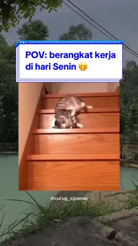 tetap ku gas walaupun masih lemas 🥱 📌Info Wisata: 📍Alamat: Curug Cipanas Nagrak, Lembang, Bandung Barat. Jawa Barat. ⏰Operasional 24 jam nonstop ➡️ Harga Tiket Masuk Wisata Biasa: •HTM Pagi 30rb •HTM Malam 35rb (berlaku pada pukul 17.00-5.00 WIB) ➡️ Harga Tiket Masuk Menginap: •HTM 35rb*promo (mulai pukul 15.00-11.00/09.00 WIB) & (belum termasuk tenda dll.) 📎Note Tiket Masuk Wisata: •Tiket Masuk <FREE berendam di seluruh kolam> •Anak dengan tinggi badan di bawah 1 meter <gratis> •Rombongan mulai dari 50 orang ke atas <potongan 10%> ✨Wahana Baru “SKY VIEW” Tarifnya RP30.000/org✨ [BOOKING CAMPING] ➡️ Melalui DM atau  Hubungi admin Curug Cipanas WA 082126140278 yang mau cek pricelistnya dulu, boleh DM aja ya😉 #wisataairterjun #wisatamurahbandung #wisataalambandung #permandianairpanas #curugcipanasnagrak #explorebandung #wisataairterjun #camping #healing #healingtrip #solotrip #travelingtheworld #camp #campingindonesia #familycamp #couplecamping #campingactivities #wisatajawabarat #berendam #onsen #glamping #glampinglife #glampingmurah #glampingbandung #destinasi #destinasiwisata 
