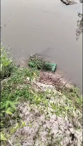 តោះមេៗចង់បានលបឆាតរឺtelegram #fvpシ💕foryou #fvpシ💕foryou #fypシ゚viral #fypシ゚viral #tiktok2024🥳🥳🥳🎉🎉🎉 #លប 