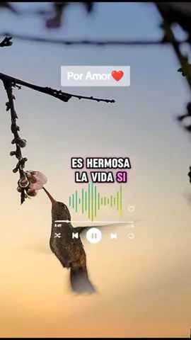 Por Amor _José Luis Perales #tik_tok #musicaromantica #clasicosdelayer #videoviral #fyp #paratiiiiiiiiiiiiiiiiiiiiiiiiiiiiiii #viral_video #musicaparadedicar_🎶😬♥️ #letrasdecanciones🎧🎶 #capcu 