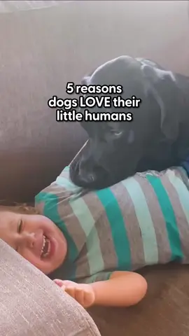 5 reasons dogs LOVE their little humans Number #1 is everything 😍😍😍 Keep up with @Elvis Batz and @mikaelabatz on Instagram