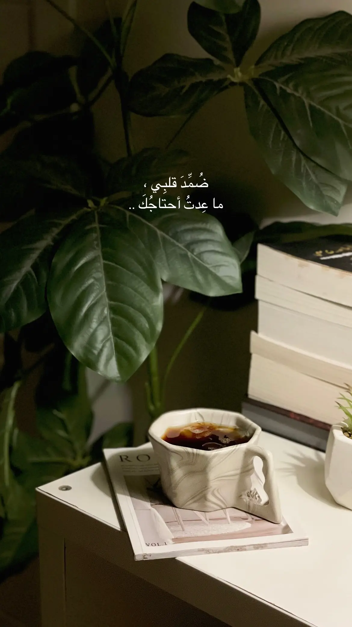 #اقتباسات #عشوائيات #اقتباسات_كتب #explore #جازان_الان #ابوعريش #jazan #اكسبلور #fypシ゚viral #fyp #صبيا #