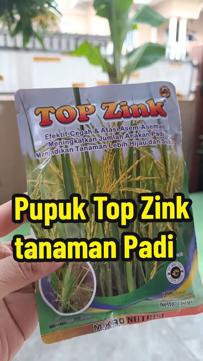 Pupuk Top Zink  #pupuk #pupukorganik #topzink #pupuktopzink #pupukpadi 