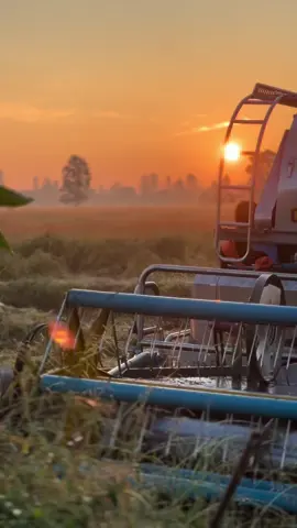 มาเพื่อสู้✌🏻💸🌾#อย่าปิดการมองเห็น #ปานเจริญการช่าง2024🏁🏁🏁 #ปเพชรบุรี 