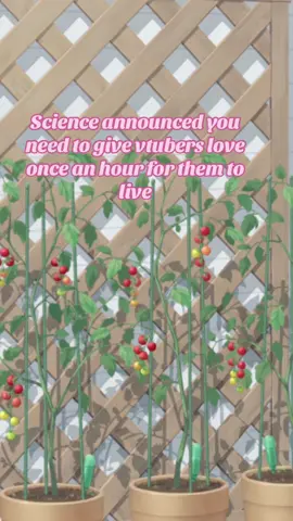 You didn’t see that haha 😅 #vtuber #vtubers #vtuberen #fyp #fypシ #fy #fyppppppppppppppppppppppp #trend #catgirl #anime #kawaii #cat #flipped 