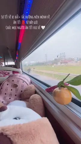 Mình về trước nhé #xuhuongtiktok #xuhuong #tet2025🧧🧧❤️ #veantet #viraltiktok #veque #vddixekhach 