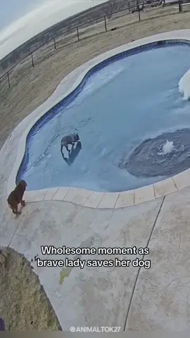 Animals deserve being saved 💚 #cute #animalsoftiktok #wholesome #animals #animaltok #animalrescue 