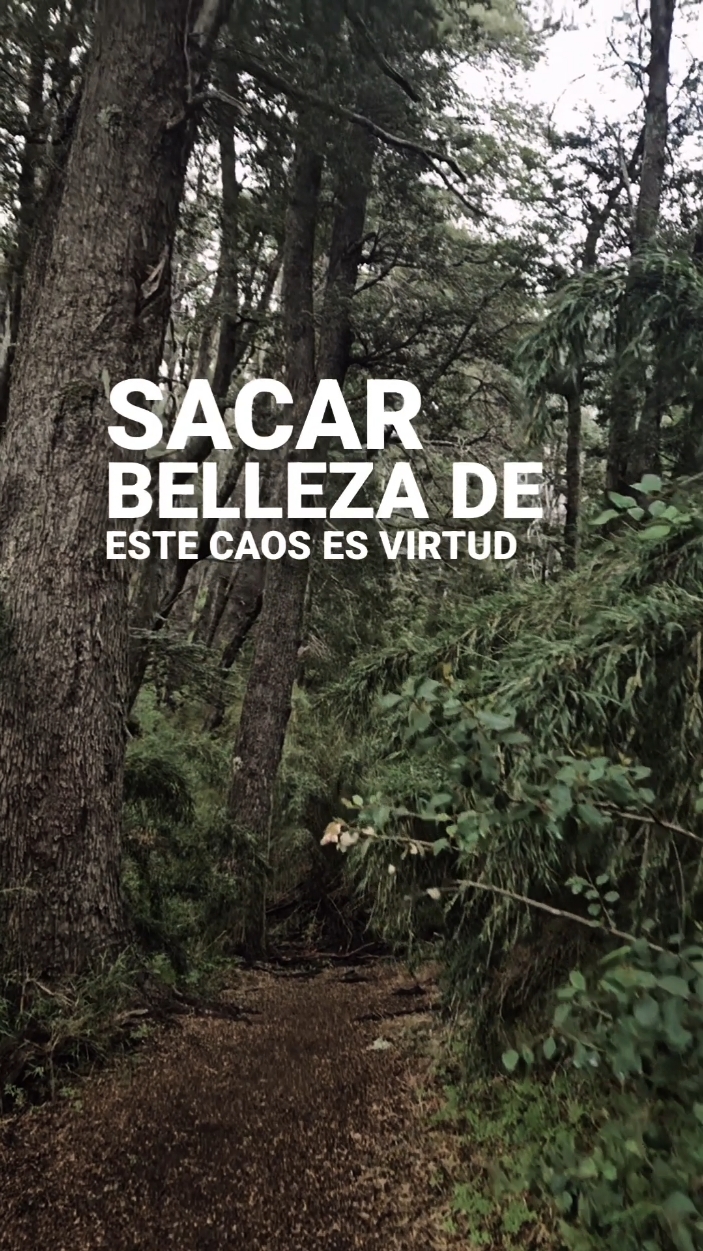 Deja Vu #❤️‍ #temon #parati #tranquilidad #viraltiktok #Viral #music #cerati #gustavocerati #rocknacional 