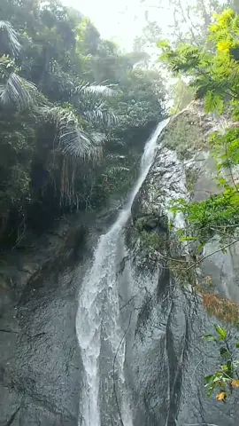 curug tersembunyi  #survival #Petualangan #tipaexsplorer 