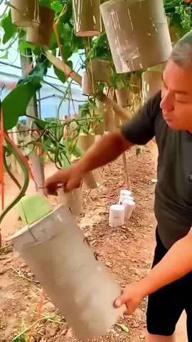How Do Chinese People Sell Vegetables At High Price #fyp #LearnOnTikTok #viralvideo #foryoupage #new #interesting #information #amazing #fact #factocean #viral #video #foryou 